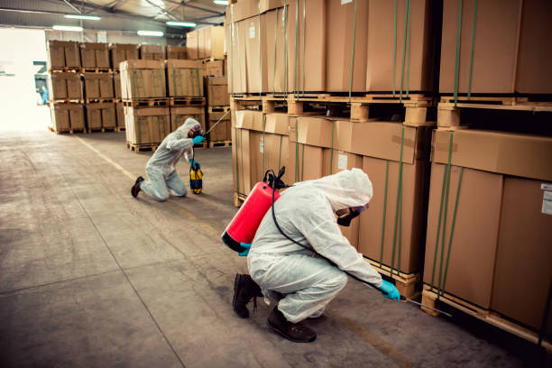 Trusted Fannett, TX Pest Control Experts
