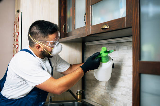 Best Termite Control Services  in Fannett, TX